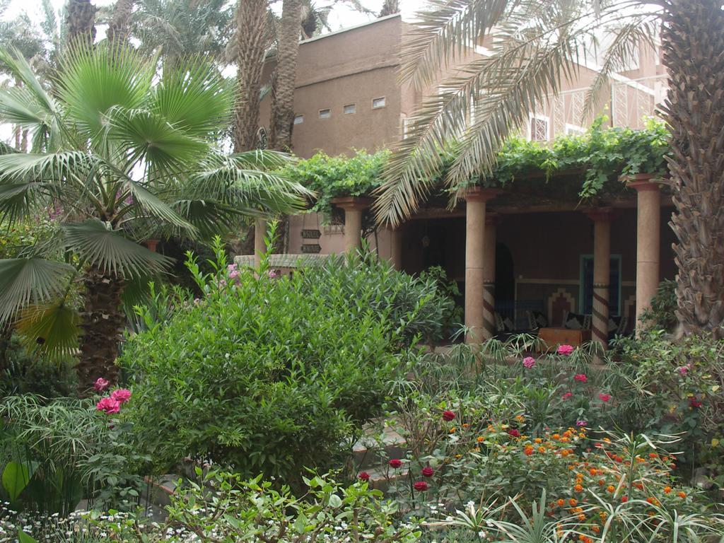 Fibule Du Draa Kasbah D'Hotes Zagora Eksteriør billede