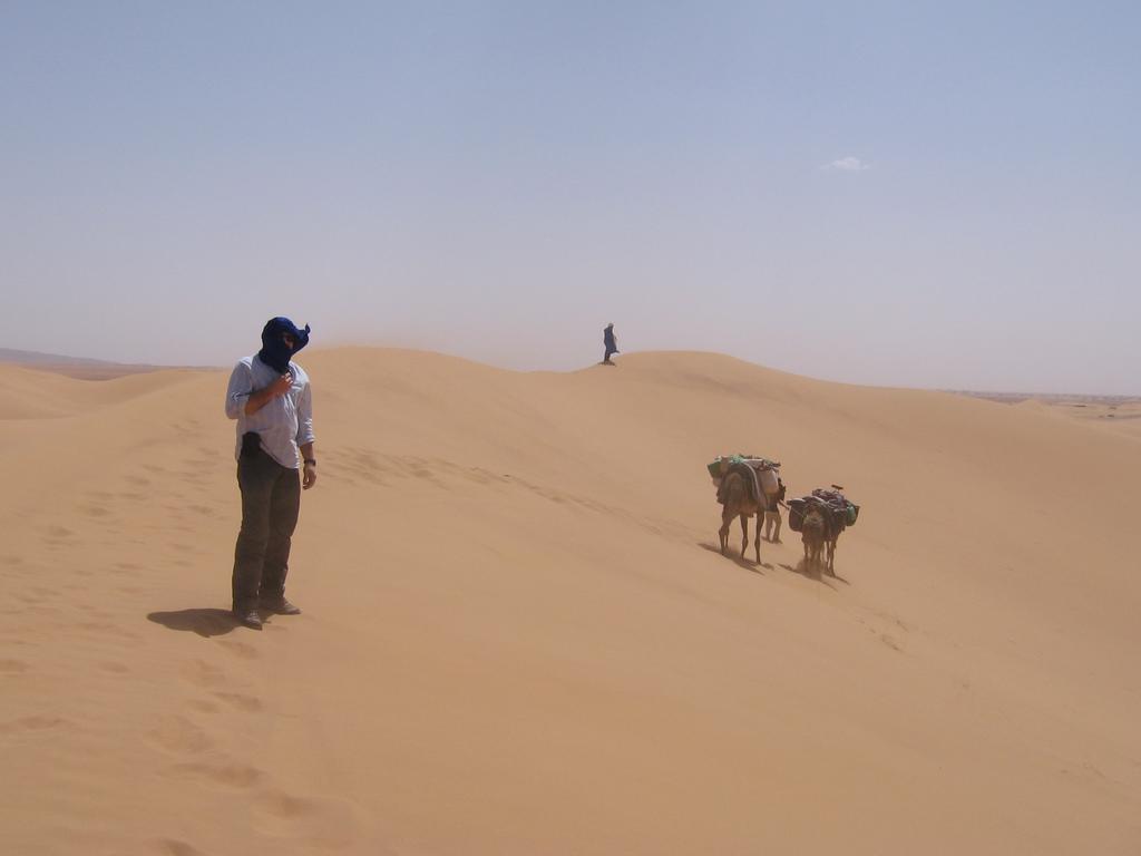 Fibule Du Draa Kasbah D'Hotes Zagora Eksteriør billede