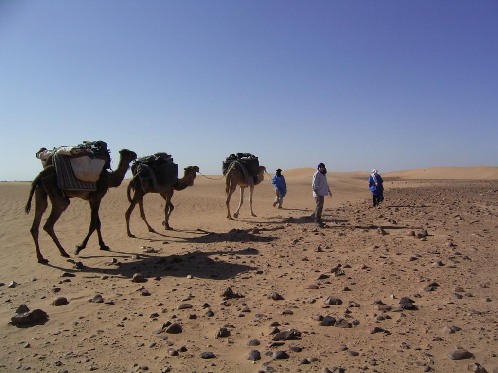 Fibule Du Draa Kasbah D'Hotes Zagora Eksteriør billede