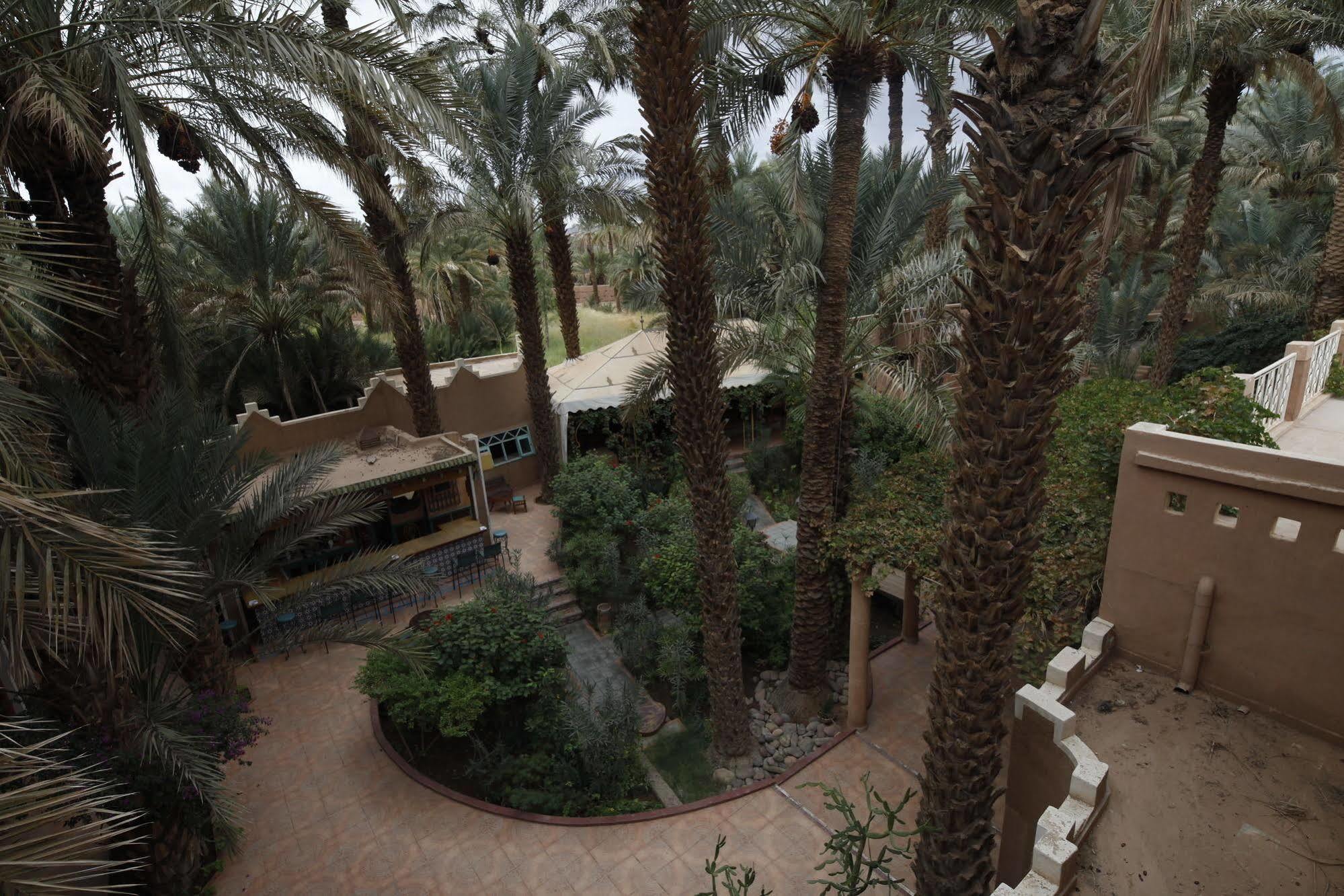 Fibule Du Draa Kasbah D'Hotes Zagora Eksteriør billede