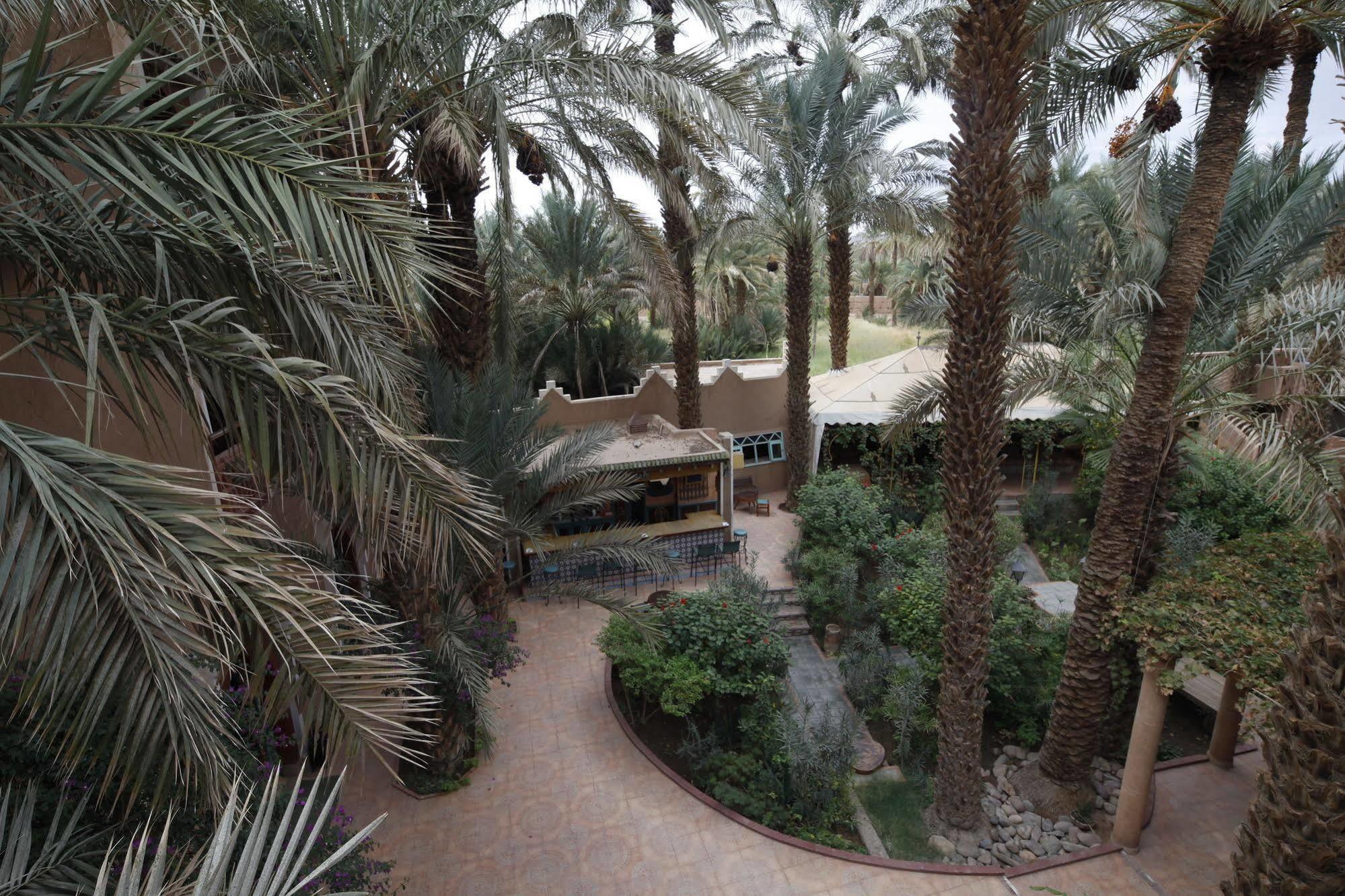 Fibule Du Draa Kasbah D'Hotes Zagora Eksteriør billede
