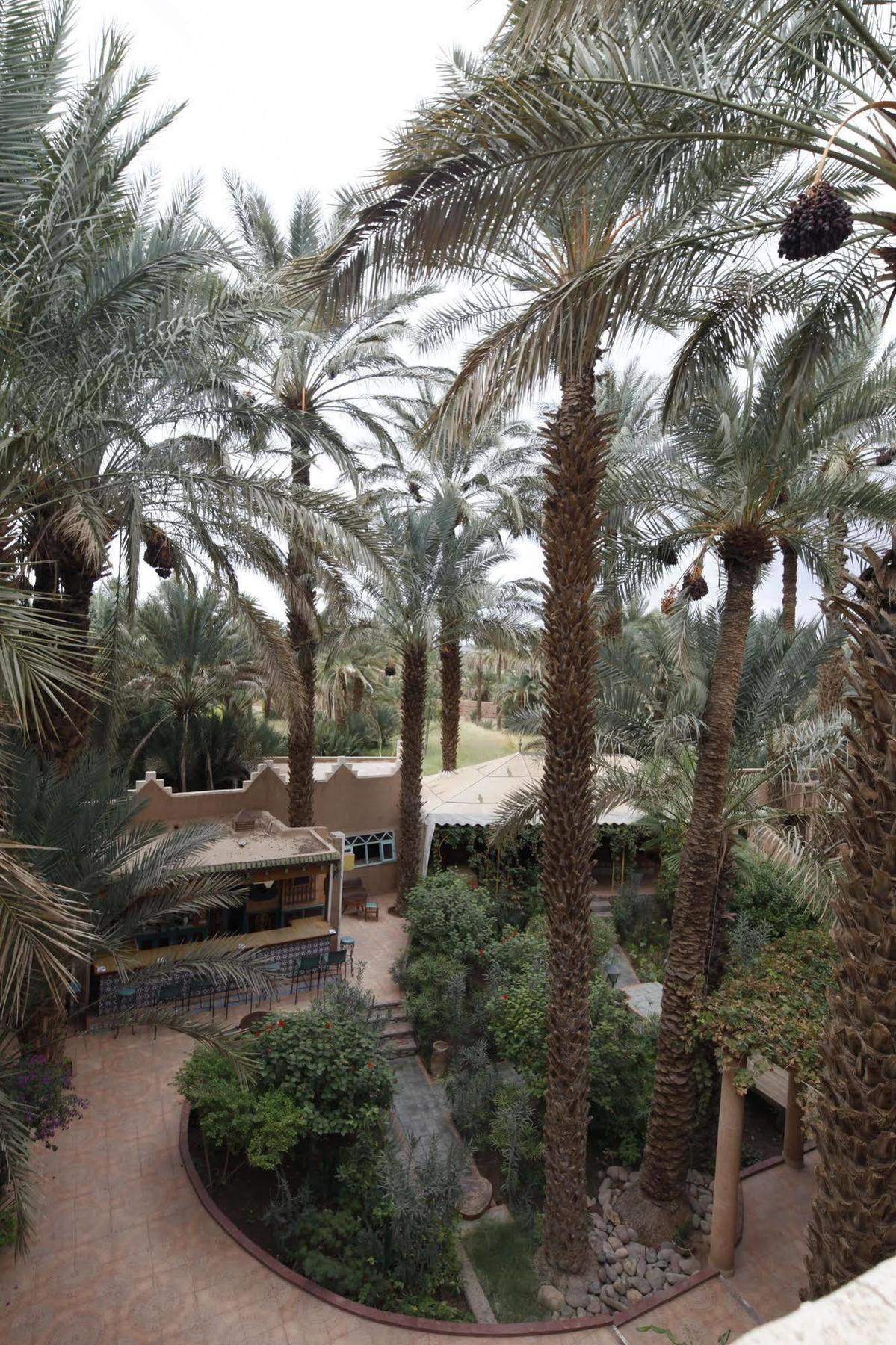 Fibule Du Draa Kasbah D'Hotes Zagora Eksteriør billede